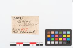 Etikett zu Bronzezwergknebel (NHMW-PRAE-025037)